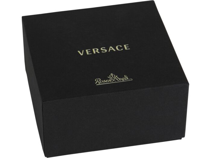 Кофейник Versace Medusa